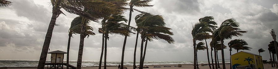 South Shore Generators - Hurricanes and COVID-19